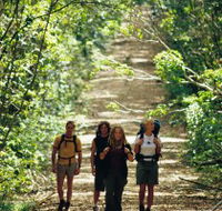 Wet Tropics Great Walk - SA Accommodation