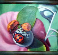 Kingaroy Shire Art Gallery - SA Accommodation