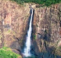 Buujan Quiinbiira Walk Wet Tropics Great Walk - SA Accommodation