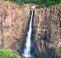 Gugigugi Butterfly Walk Wet Tropics Great Walk - SA Accommodation