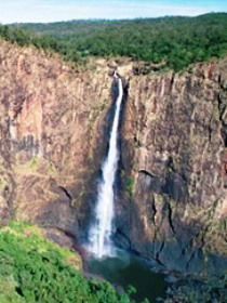 Gugigugi (Butterfly) Walk, Wet Tropics Great Walk - SA Accommodation 0