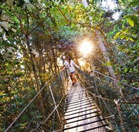 Tree Top Walkway - SA Accommodation