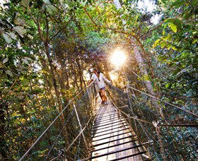 Tree Top Walkway - SA Accommodation 0