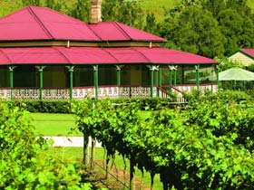 OReillys Canungra Valley Vineyards - SA Accommodation 0