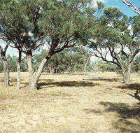 Forest Den National Park - SA Accommodation
