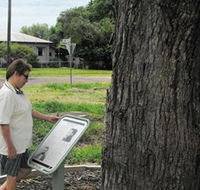 Augathella Kenniff Tree - SA Accommodation