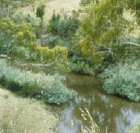 Yarrambat Park - SA Accommodation