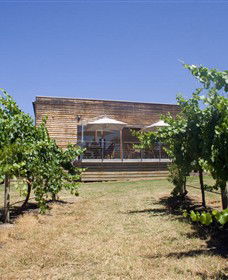 Shantell Vineyard - SA Accommodation 0