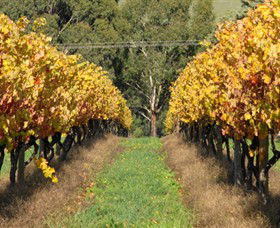 Wild Dog Winery & Restaurant - SA Accommodation 0