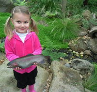 Wild Food Farm  Cafe - SA Accommodation