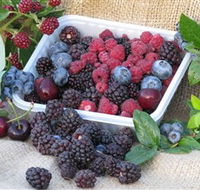 Bright Berry Farms - SA Accommodation