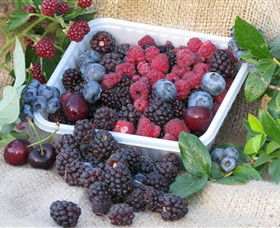 Bright Berry Farms - SA Accommodation 0