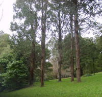 Mount Dandenong Arboretum - SA Accommodation