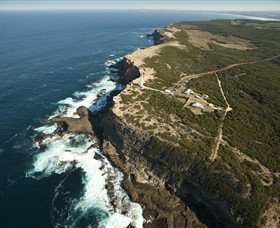 Cape Nelson State Park - SA Accommodation 0