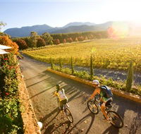 Boyntons Feathertop Winery - SA Accommodation