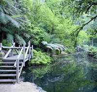 Alfred Nicholas Gardens - SA Accommodation