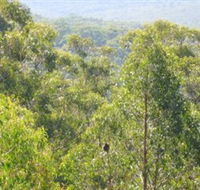 Bunyip State Park - SA Accommodation