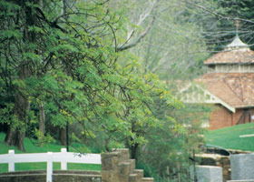 Hepburn Regional Park - SA Accommodation 0