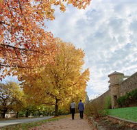 Beechworth Historic Park - SA Accommodation