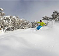 Mt Buller and Mt Stirling Alpine Resort - SA Accommodation