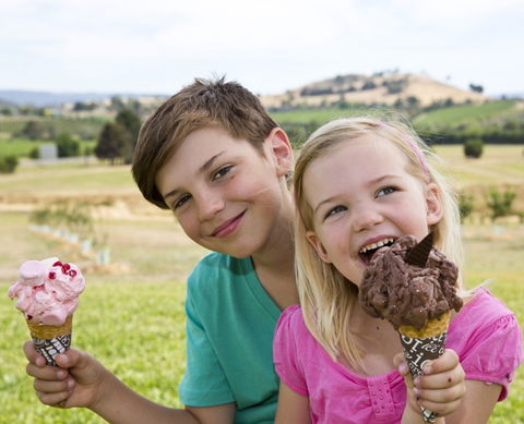 Yarra Valley Chocolaterie & Ice Creamery - SA Accommodation 6