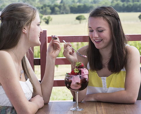 Yarra Valley Chocolaterie & Ice Creamery - SA Accommodation 8