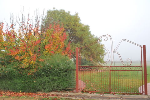 Stanton And Killeen Wines - SA Accommodation 4