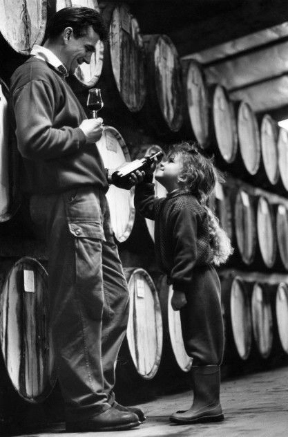 Stanton And Killeen Wines - SA Accommodation 11