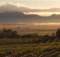 Montara Wines - SA Accommodation