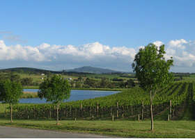 Yarrawood Estate - SA Accommodation 0