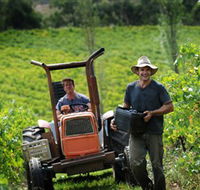 Kellybrook Winery  Kelly Brothers Cider - SA Accommodation