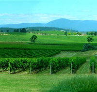 Acacia Ridge Vineyard - SA Accommodation