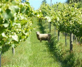 Passing Clouds - SA Accommodation 0