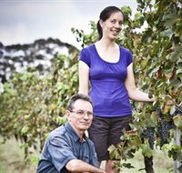 Anderson Winery - SA Accommodation