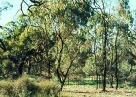 Kerang VIC SA Accommodation