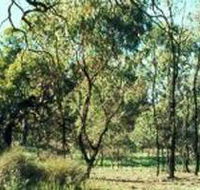 Leaghur State Park - SA Accommodation