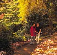 George Tindale Memorial Gardens - SA Accommodation