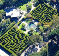Ashcombe Maze  Lavender Gardens - SA Accommodation