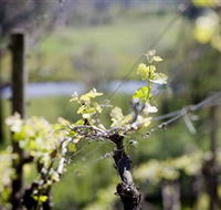 Lindemans Karadoc Winery - SA Accommodation