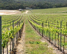 M Chapoutier Australia - SA Accommodation 0