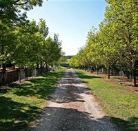 Waybourne Winery - SA Accommodation