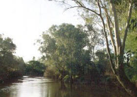 Banksia Park - SA Accommodation 0