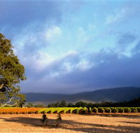 Mount Avoca - SA Accommodation