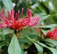 Alfred National Park - SA Accommodation