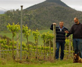 Grampians Estate - SA Accommodation 0