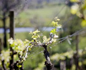 Kyneton Ridge Estate - SA Accommodation 0