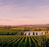 Oakridge Wines - SA Accommodation