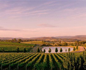 Oakridge Wines - SA Accommodation 0