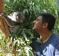 Healesville Sanctuary - SA Accommodation
