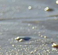 Cape Liptrap Coastal Park - SA Accommodation